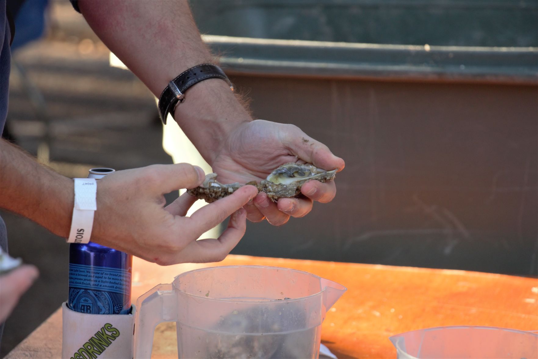 Oyster Fest (8).jpg
